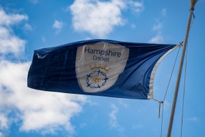 Hampshire Flag